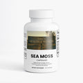 Sea Moss